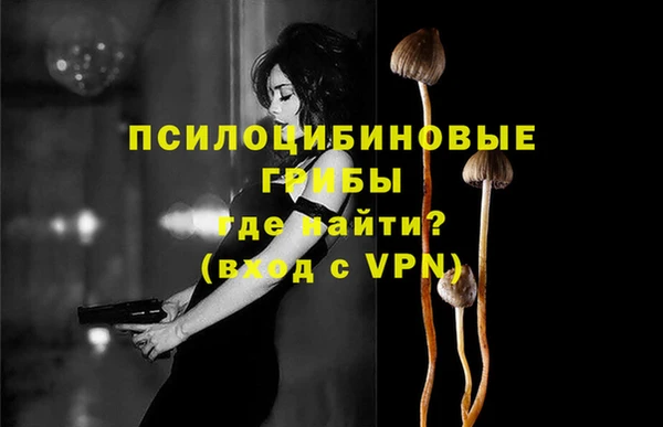 эйфоретик Армянск